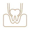 Dental Implant